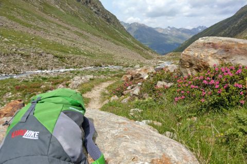 Timmelsjoch smuggler path with red flowers, green backpack and small stream