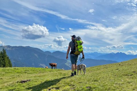 Wanderer mit Hund auf Almwiese bei der Marbachhöhe