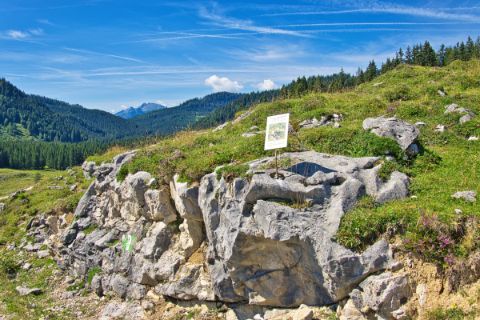 Rock formation by the wayside on the Postalm