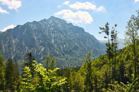 The panorama of the alpine pasture hike at Wolfgangsee