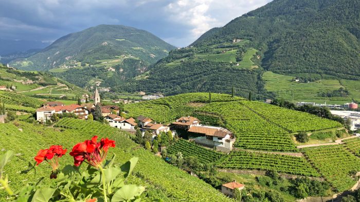 Wander- und Weinreisen mit Eurohike