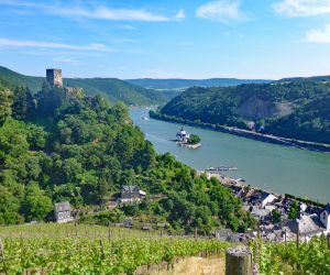 Hiking tour Rheinsteig with view to castle Gutenfels
