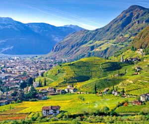 Panoramablick auf Weinberge in Südtirol