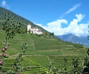 Old castles and green vineyards on the South Tyrol Wine Trail