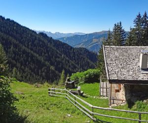 Alpine Pasture Hike at the Zell am See district