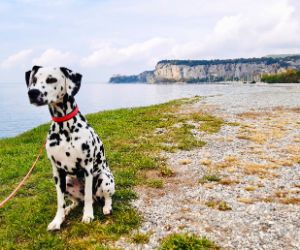 Wandern mit Hund in Italien