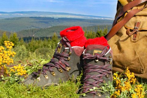 Hiking boots