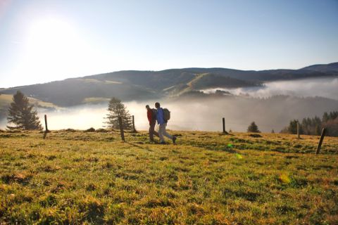 Hiking pair at the foggy Black Forest