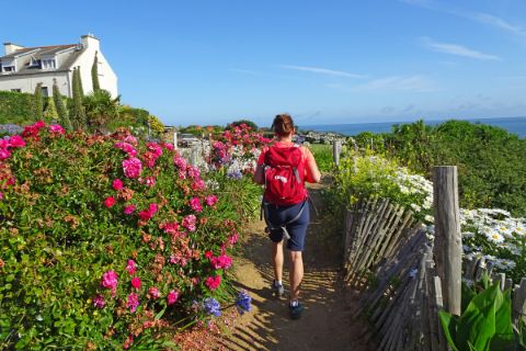 Hiker on the Grand Route, beautiful flowers
