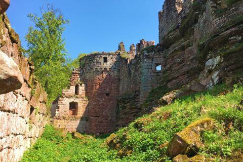 Cultural highlight in Alsace: castle ruins