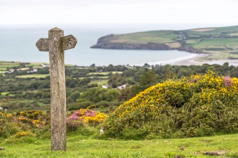 Hiking path on the coastal path in Pembrokeshire Wales