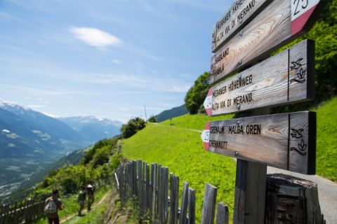 Wegweiser auf einem Wanderweg in Südtirol