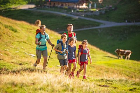 Hiking family on a mountain pasture in the Salzkammergut