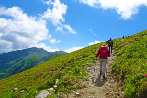 Hikers on the Pinzgau mountain route