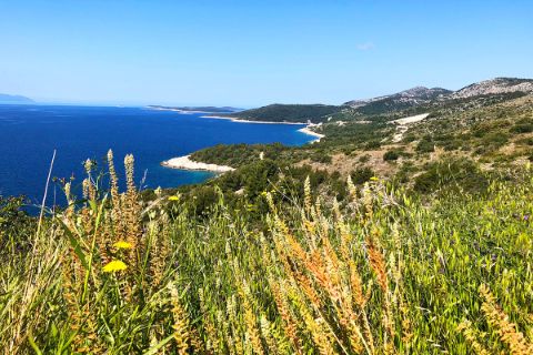 Kroatische Insel-Küste