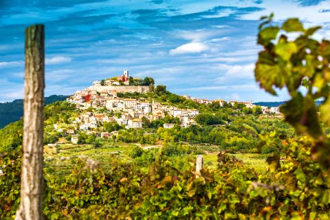 Hiking with a view to Motovun in Istria