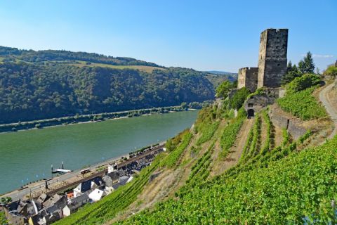 Burgen auf der Wandertour Rheinsteig 