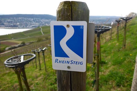 Sign posting Rheinsteig
