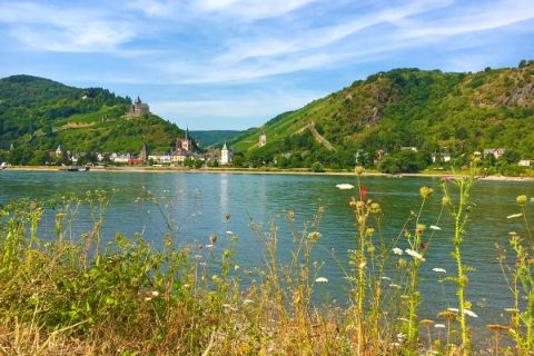 Traumhafter Rheinblick auf der Wandertour