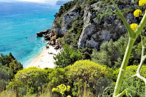 Picturesque costal views in Sardinia