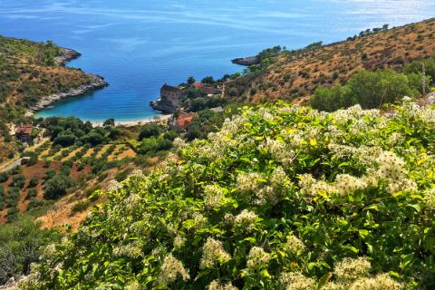 Landscape on croatian islands