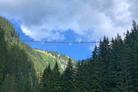 The longest hanging rope bridge of Austria at the Lechweg
