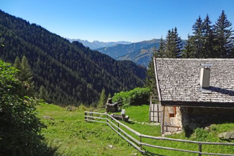 Alpine Pasture Hike at the Zell am See district