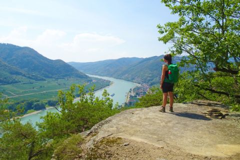 Traumhafte Aussicht auf die blaue Donau