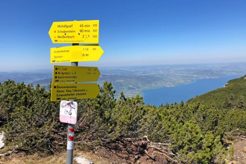 Signpost with a view of the Attersee