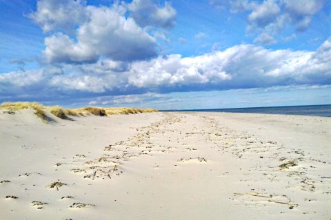 Coastal walks along the baltic sea