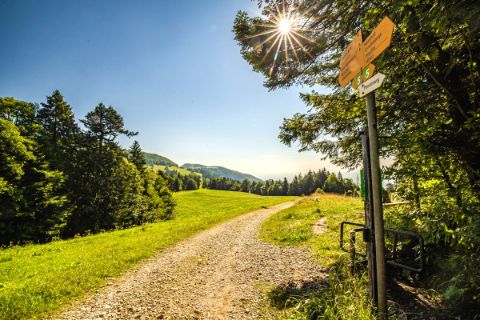 Hiking path in Weissenstein