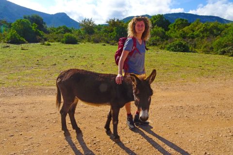 Wanderin mit Esel am Wanderweg nach Golgo