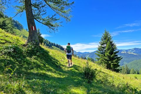 Alpine landscape near the Postalm with hiker