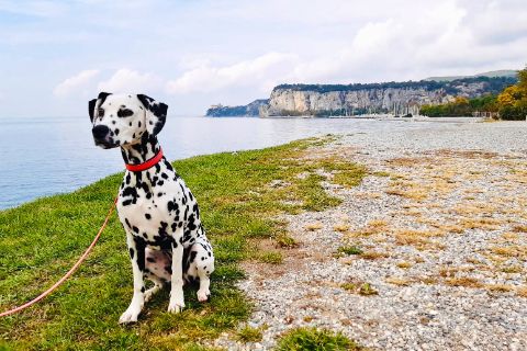 Wandern mit Hund in Italien