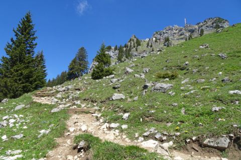 steiniger guter Wanderweg auf den Wendelstein, Blick auf den Gipfel