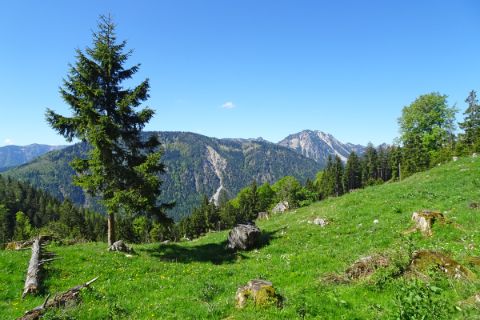 wunderschöne Berglandschaft beim Wandern in Bayern