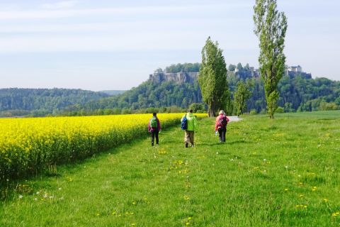 Hikers in the direction of the Knigstein Fortress