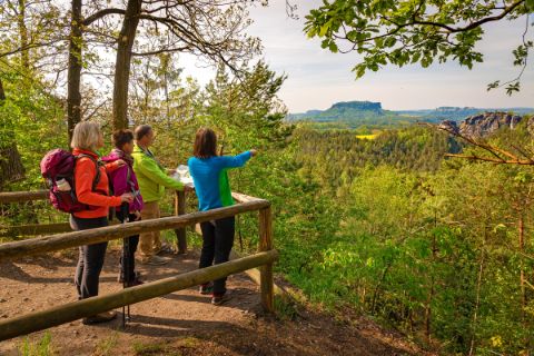 Hikers with a view of the Elbe Sandstone Mountains on the Malerweg