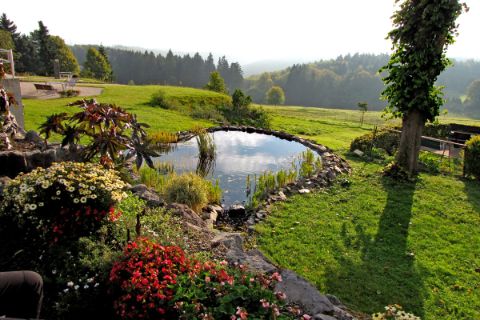 Charming garden with pond