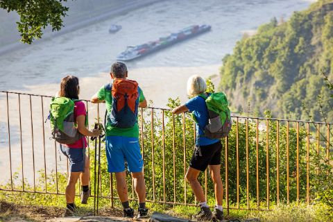 Hikers with a view of the Rhine