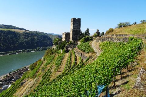 Aussicht auf eine Burg am Rhein