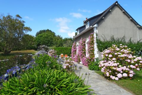 Unique flower gardens while walking on the Île de Bréhat