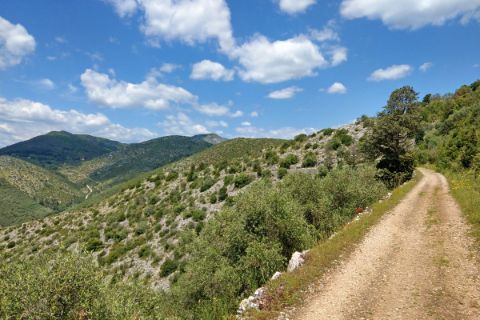 Hiking trail on Monte Pisani