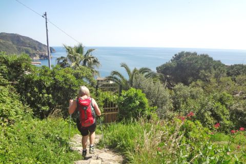 Hiking through mediterrenean vegetation