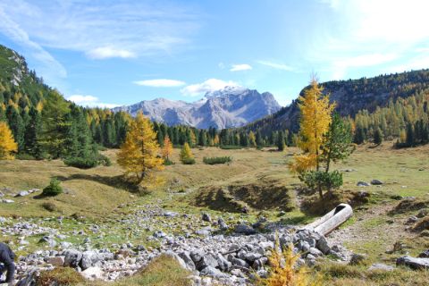 Walking experience Dolomites