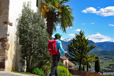 Wanderreisen in Südtirol für Familien
