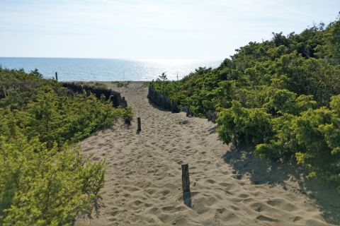 Beach path at cecina