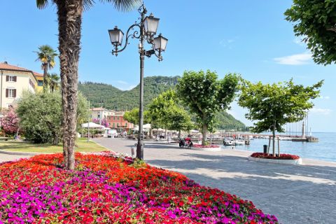 Flowers on the promenade at Lake Garda