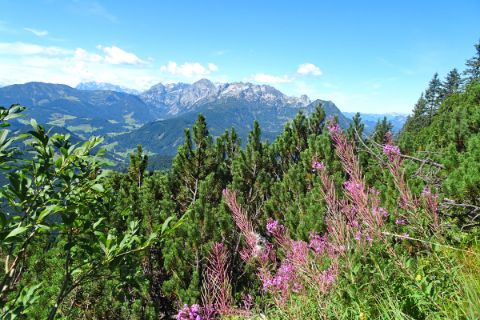 Colourful hiking scenery in the middle of Tennengebirge mountains