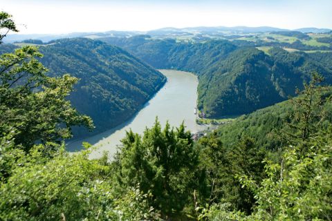 Hiking next to the Danube